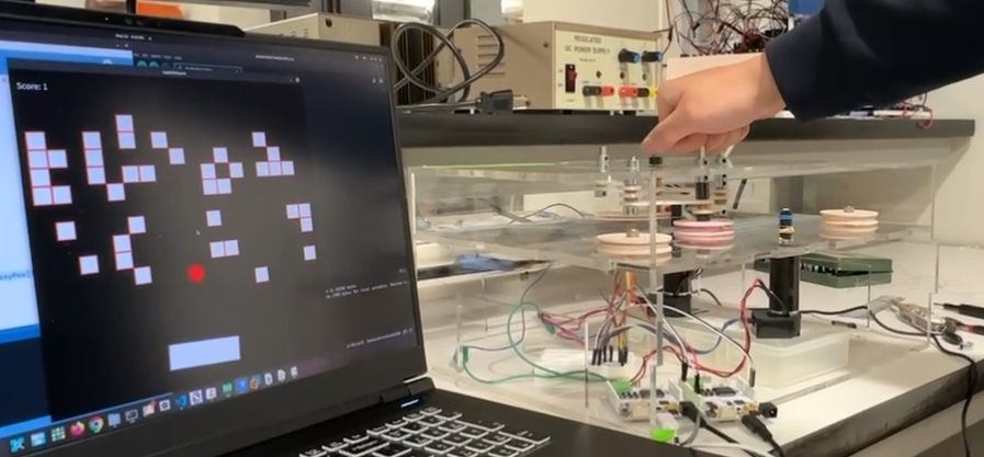 Haptic Brick Breaker